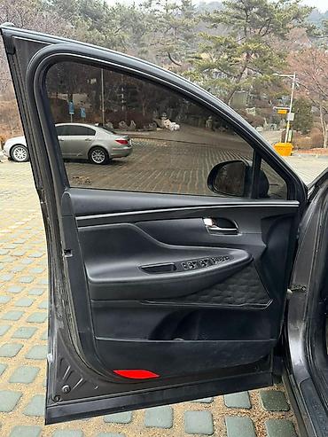 Hyundai: Hyundai Santa Fe: 2019 г., 2.2 л, Автомат, Дизель, Кроссовер — 10