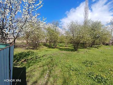 Torpaq sahələrinin satışı: Azərbaycanın ən gözəl guşələrindən biri olan Oğuz rayonu Xaçmaz — 10