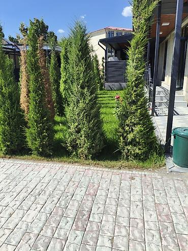 Посуточная аренда квартир: 3 комнаты, Интернет, Wi-Fi, Бронь, Бытовая техника — 2