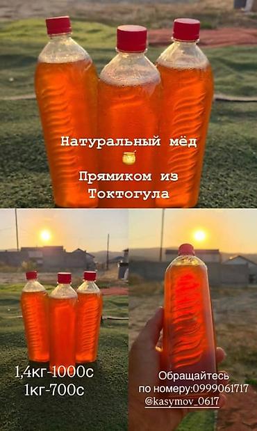 Натуральный мёд, прямо из Токтогула. Характеристики: - Цвет at lalafo.kg Натуральный мёд, прямо из Токтогула. Характеристики: - Цвет