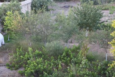 Torpaq sahələrinin satışı: 3 sot, Tikinti, Mülkiyyətçi, Kupça (Çıxarış) — 9