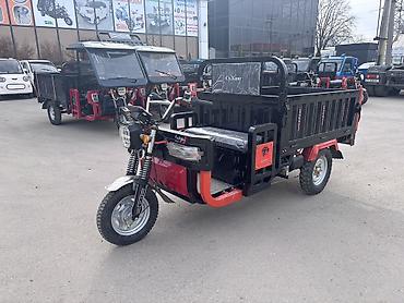 Мотороллеры муравей: Мотороллер муравей Электро, 70 км, 1000 - 1499 кг, Новый — 3