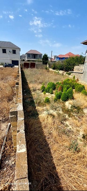 Daşınmaz əmlak: 300 sot, Mülkiyyətçi, Kupça (Çıxarış) — 6