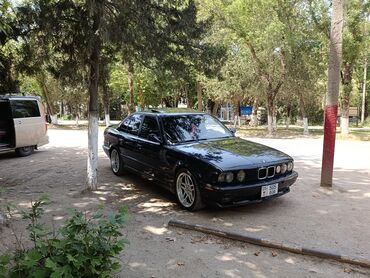 BMW: BMW