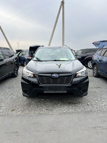 какие машины входят в комфорт яндекс такси в бишкеке: Subaru Forester: 2019 г., 2.5 л, Автомат, Бензин, Кроссовер