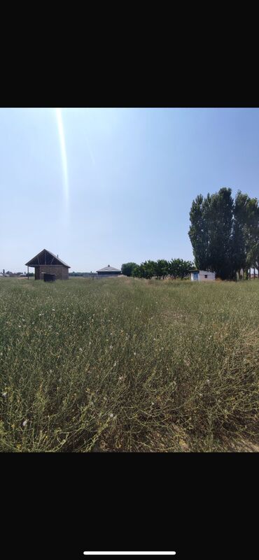 купить поле для посева: 4 соток, Кызыл китеп, Техпаспорт, Сатып алуу-сатуу келишими