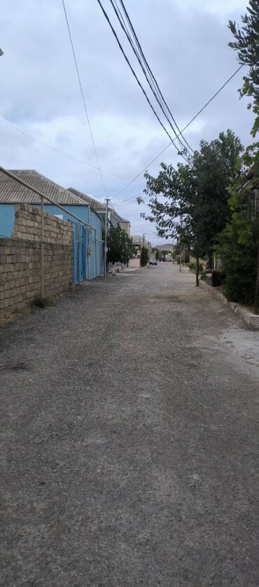 Tulumlar: Salam Aleykum Hövsan Zeytun bağlarında 2 sot torpaq satılır . Real