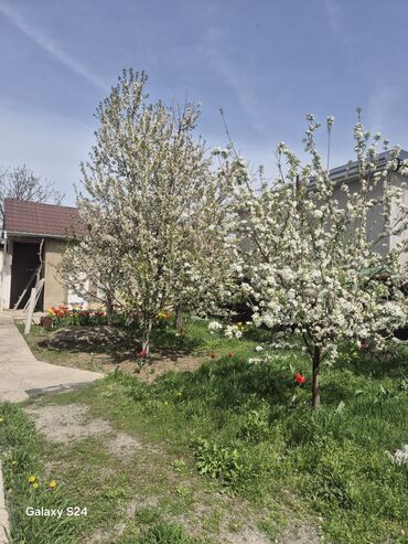 Продажа домов: Дом, 160 м², 8 комнат, Собственник, ПСО (под самоотделку) — 31