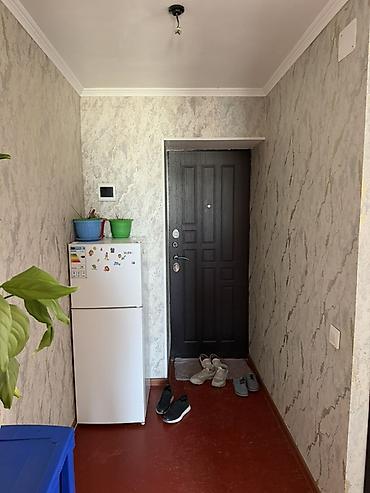 ижарага комната керек: 26 м², Эмерексиз — 1