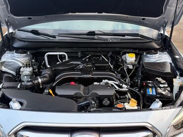 Subaru: Subaru Outback: 2019 г., 2.5 л, Вариатор, Бензин, Кроссовер — 10