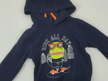 swetrowy top: Sweatshirt, 2-3 years, 92-98 cm, condition - Good