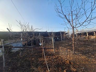 Продажа участков: 9 соток, Для строительства, Красная книга, Тех паспорт — 5