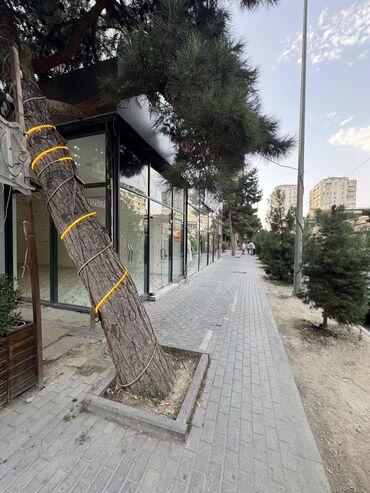 ehmedlide obyekt: Ehmedlide irsadin yaninda 75 kv abyekt icare verilir abyektin suyu