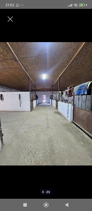 Продажа коттеджей и домов: 🔥🔥🔥Продается современный кошар с домом в селе Чокморов — 2