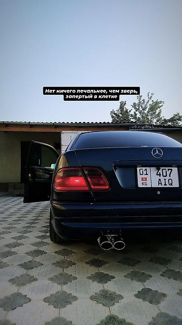 bmw e64: Mercedes-Benz E-Class: 1997 г., 4.2 л, Автомат, Бензин, Седан — 2