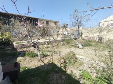 Həyət evləri və villaların satışı: Suraxanı 3 otaqlı, 5 kv. m, Kredit yoxdur, Orta təmir -da lalafo.az — 8 Həyət evləri və villaların satışı: Suraxanı 3 otaqlı, 5 kv. m, Kredit yoxdur, Orta təmir — 8