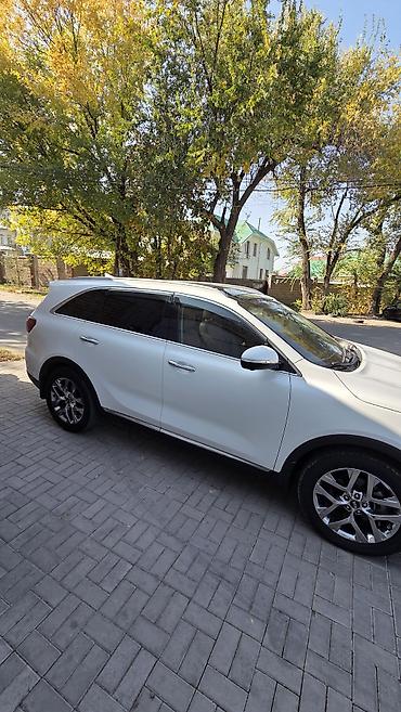 сания: Kia Sorento: 2019 г., 2.2 л, Автомат, Дизель, Кроссовер — 6