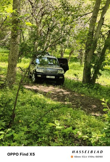аренда машина авто: Сдаю в аренду: Легковое авто, Частная аренда