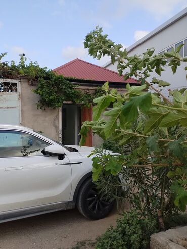 Bağ evlərinin kirayəsi: Binə, 40 kv. m, 2 otaqlı, Qaz, İşıq, Su — 21