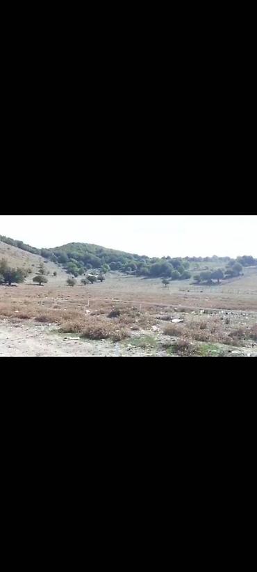 nzs qesebesinde 3 otaqli ev type 1: 20 sot, Tikinti, Mülkiyyətçi, Kupça (Çıxarış) — 4