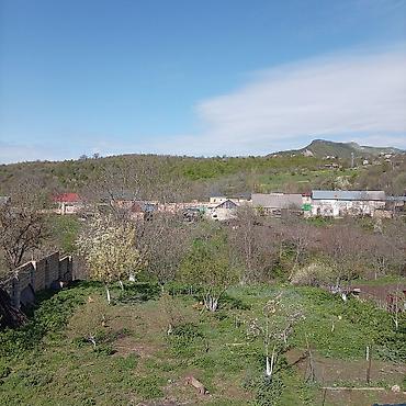 Torpaq sahələrinin satışı: Kənd təsərrüfatı — 1