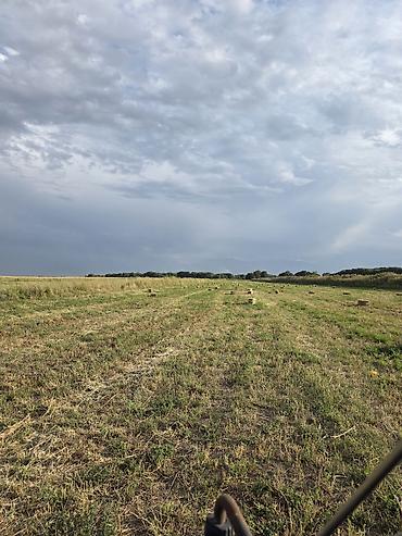 🌾 Сено после семенника 🌾 Продам сено, после обмолота. кастра Без