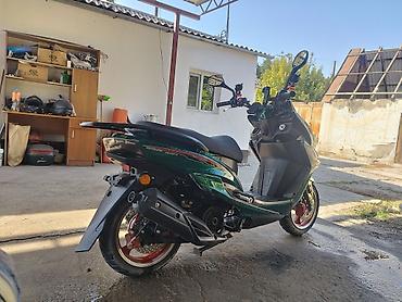 Скутеры: Скутер Da Wang DW8957 - Кузов: спортивный дизайн, цвет темно‑зеленый — 4