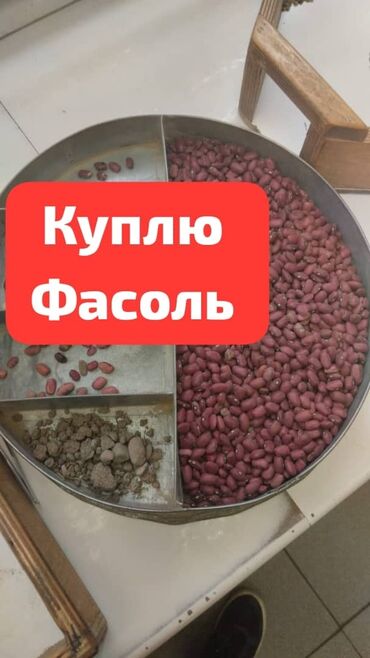 корм для овец: Корма для с/х животных