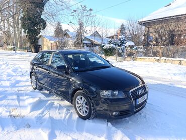 Audi: Audi A3: 1.6 l | 2006 г. Hečbek — 3