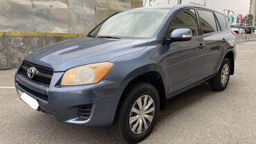 резина для маски: Toyota RAV4: 2010 г., 2.5 л, Автомат, Бензин, Кроссовер