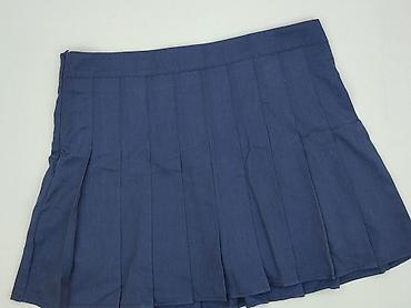 plisowane mini spódnice: Spódnica damska, rozmiar 2XL — 1