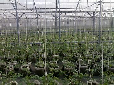 Сварка: Сварка Высотные работы — 39