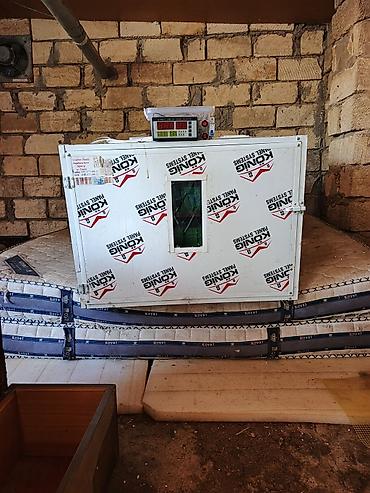 Quş yumurtaları üçün avtomatik inkubator - Korpus: izolyasiyalı