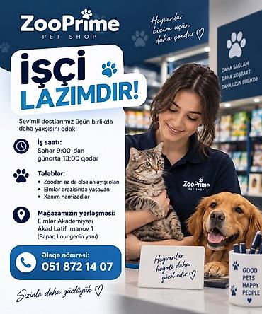 coban iti adları: Kassir tələb olunur, Yalnız qadınlar üçün, İstənilən yaş, Təcrübəsiz — 1
