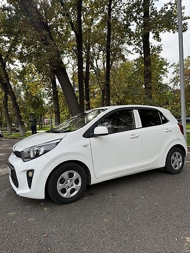 morning: Kia Picanto: 2019 г., 1 л, Автомат, Бензин, Хэтчбэк — 8