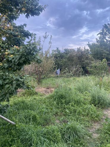 Продажа домов: Дом, 70 м², 3 комнаты, Собственник, Косметический ремонт — 4