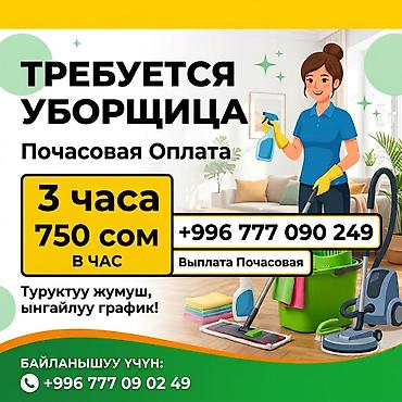 Талап кылынат Тазалоочу, Төлөм: Күнүмдүк