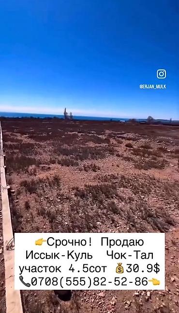 первое: 4 соток, Для строительства, Красная книга — 1