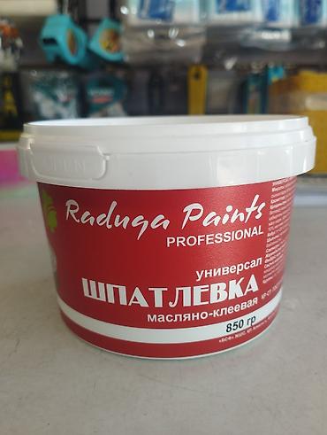 Универсальная шпаклёвка масляно-клеевая Raduga Paints Professional