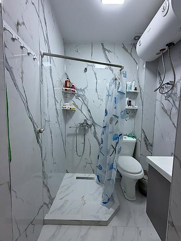 квартира автовакзал: 1 комната, 41 м², Индивидуалка, 1 этаж, Свежий ремонт — 3