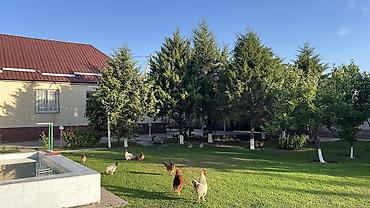 Продажа коттеджей и домов: 🏡 СРОЧНО ПРОДАЁТСЯ ДОМ В НОВОПОКРОВКЕ! Продаётся уютный кирпичный дом — 2