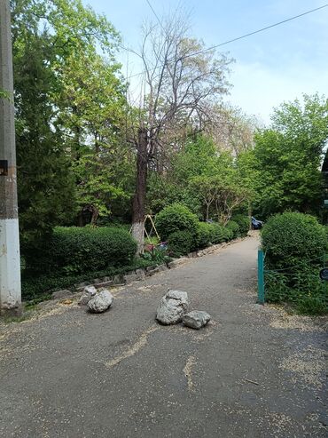 Продажа квартир: 2 комнаты, 45 м², Хрущевка, 1 этаж, Косметический ремонт — 12