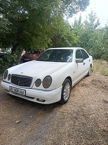 Mercedes-Benz E-Class: 1999 г., 2.9 л, Механика, Дизель, Седан