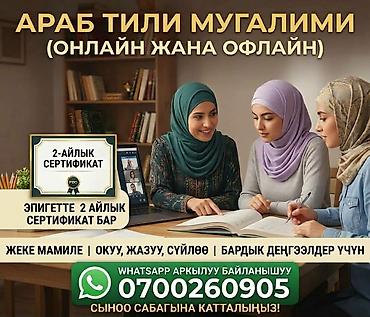 Курсы арабского языка