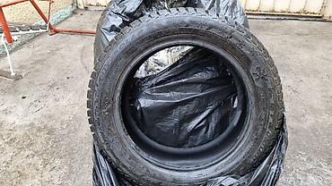 зимнее: Продаю зимние шипованые шины Cordiant R16 205/55 91T в отличном — 1