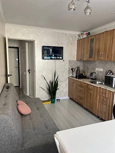 single room flat: 1 комната, 38 м², Политех Индивидуалка, 5 этаж, Косметический ремонт — 3