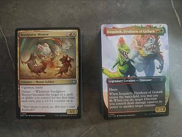 Другие предметы коллекционирования: Magic the Gathering (на англ. яз.): карты (более 1,5 кг), кубики — 3