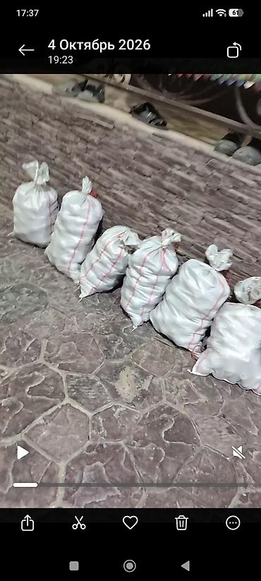 Яблоки: Яблоки Оптом — 15