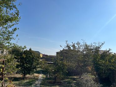 Torpaq sahələrinin satışı: 9 sot, Mülkiyyətçi, Kupça (Çıxarış) — 2