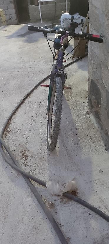 3 tekerli velosiped type 1: Benzin mühərrikli velosiped - Çərçivə: dağ velosipedi tipli, 26" — 5